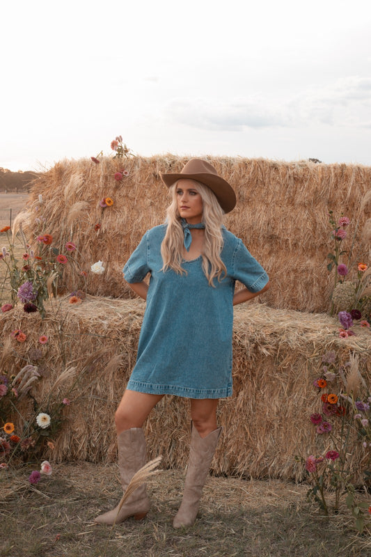 Assembly Label Denim Shift Dress – AU 10