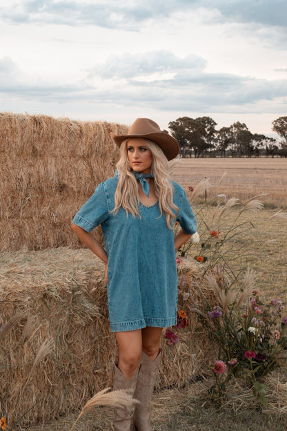 Assembly Label Denim Shift Dress – AU 10